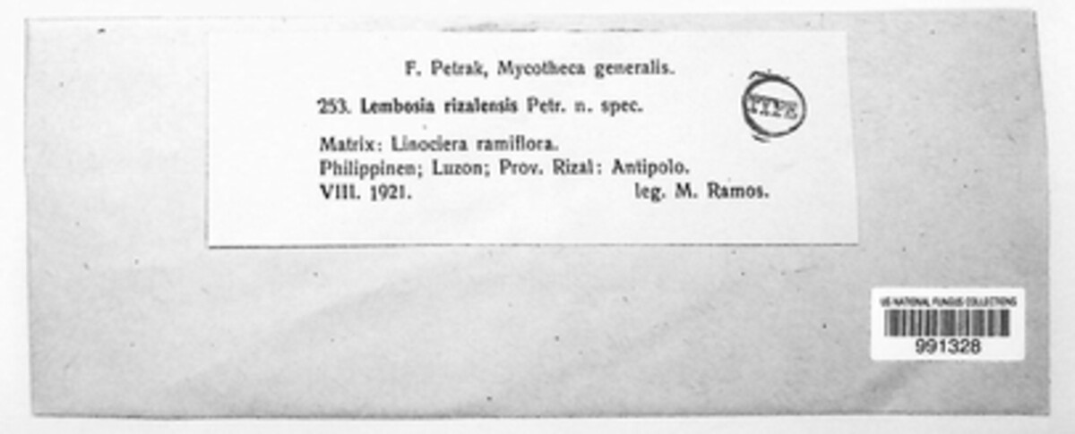 Lembosia rizalensis image